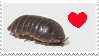 an isopod with a heart symbol next to it